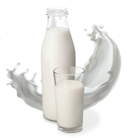 Dairy