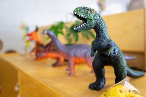 Img 0442
