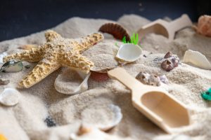 A close up photo of a sensory play area with sand and sea shells