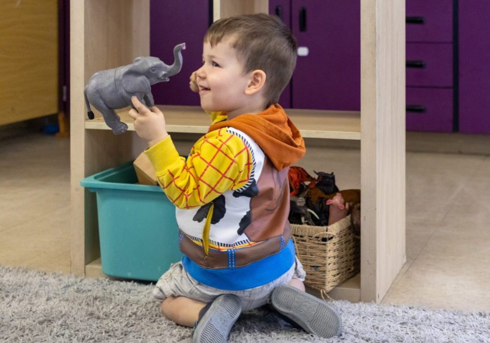 A preschool boy in a Woody sweatshirt plays with animal figurines.